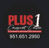 Plus 1 Carpet Care & Restoration logo