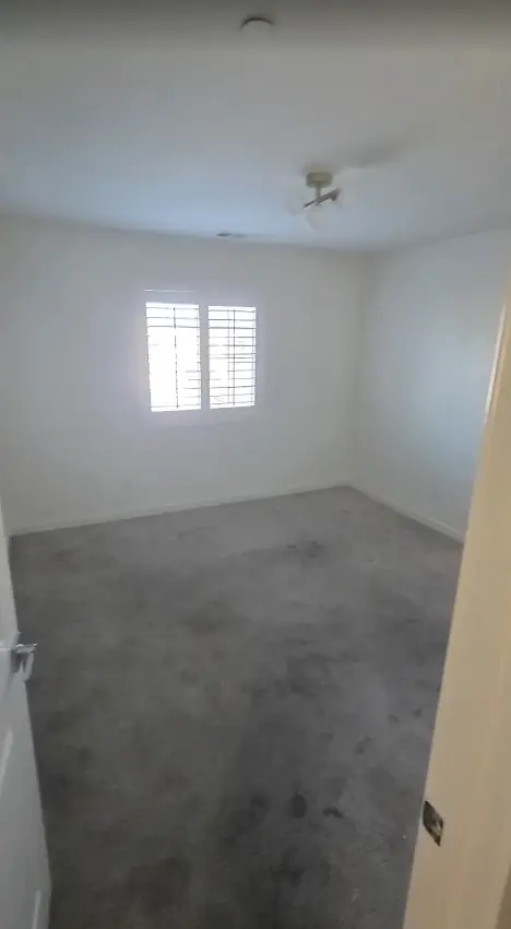 Freshly steamed bedroom carpet