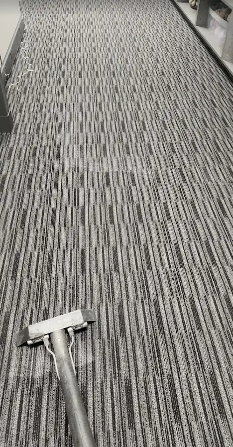 Plus 1 commercial carpet steam cleaning showing fresh path